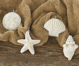 Sea Shells Shower Curtain Hooks-Lange General Store