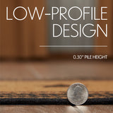 Infographic showing low-profile 0.30-inch pile height of the Blackstone Farm Star braided jute rug with quarter coin for scale