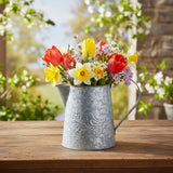 Galvanized Metal Vintage Garden Bird Pitcher-Lange General Store