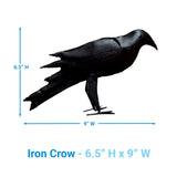 Iron Crows
