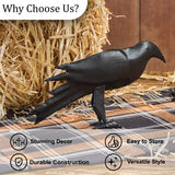 Iron Crows