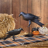 Iron Crows