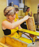 Lavender Elderberry Infused Honey-Lange General Store