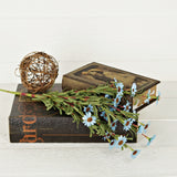 Mini Mountain Daisy Bush Blue 18" BUNDLE-Lange General Store