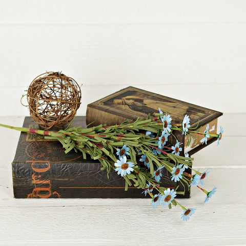 Mini Mountain Daisy Bush Blue 18" BUNDLE-Lange General Store