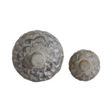 Natural Wood Acorn Decor Set of 2-Lange General Store