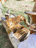 Paw Balm - Treats "Ruff" Paws - Handmade with Beeswax-Lange General Store