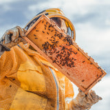 Raw Honey & Beeswax Lip Balms - Favorite Pack of 4-Lange General Store