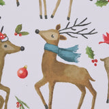 Run Run Reindeer Placemats Set of 4