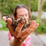 Solid Perfume Handmade with Beeswax - Ozark-Lange General Store