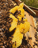 Solid Perfume Handmade with Beeswax - Ozark-Lange General Store