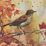 Thrush & Maple Placemats Set of 4